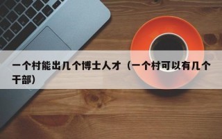 一个村能出几个博士人才（一个村可以有几个干部）