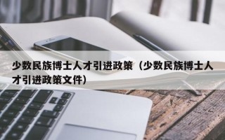 少数民族博士人才引进政策（少数民族博士人才引进政策文件）
