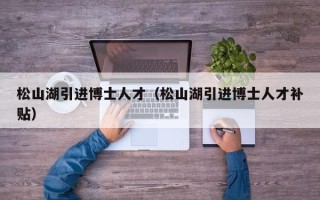 松山湖引进博士人才（松山湖引进博士人才补贴）