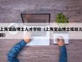 上海宝山博士人才学校（上海宝山博士娃幼儿园）