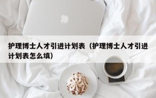 护理博士人才引进计划表（护理博士人才引进计划表怎么填）