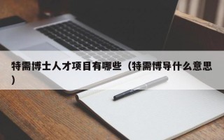 特需博士人才项目有哪些（特需博导什么意思）