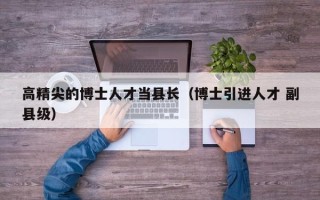 高精尖的博士人才当县长（博士引进人才 副县级）