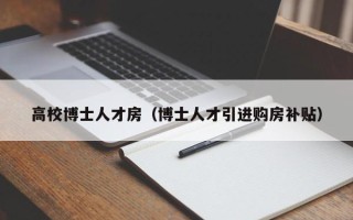 高校博士人才房（博士人才引进购房补贴）