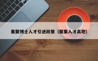 集聚博士人才引进政策（聚集人才高地）