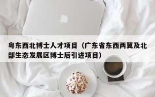粤东西北博士人才项目（广东省东西两翼及北部生态发展区博士后引进项目）