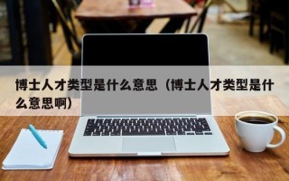 博士人才类型是什么意思（博士人才类型是什么意思啊）