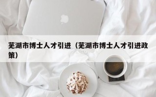 芜湖市博士人才引进（芜湖市博士人才引进政策）