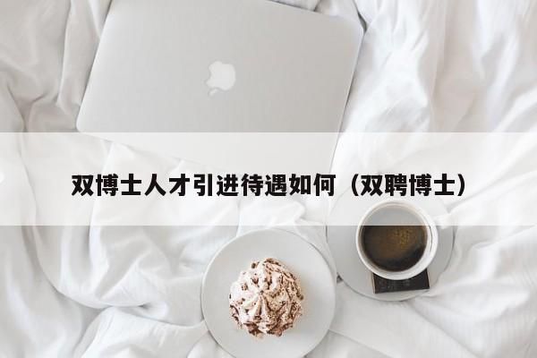 双博士人才引进待遇如何（双聘博士）-第1张图片-博士人才招聘网