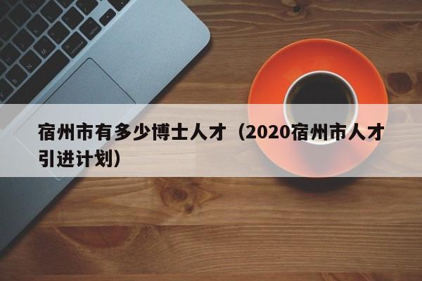 宿州市有多少博士人才（2020宿州市人才引进计划）-第1张图片-博士人才招聘网
