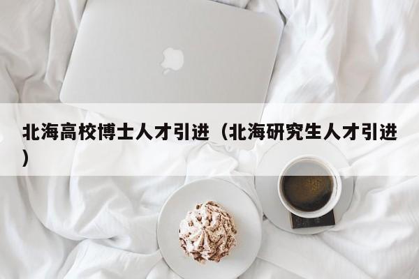 北海高校博士人才引进（北海研究生人才引进）-第1张图片-博士人才招聘网