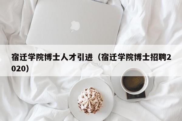 宿迁学院博士人才引进（宿迁学院博士招聘2020）-第1张图片-博士人才招聘网