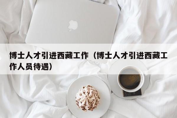博士人才引进西藏工作（博士人才引进西藏工作人员待遇）-第1张图片-博士人才招聘网
