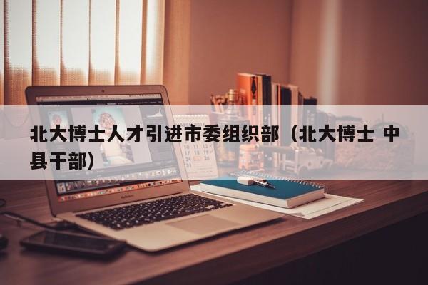 北大博士人才引进市委组织部（北大博士 中县干部）-第1张图片-博士人才招聘网